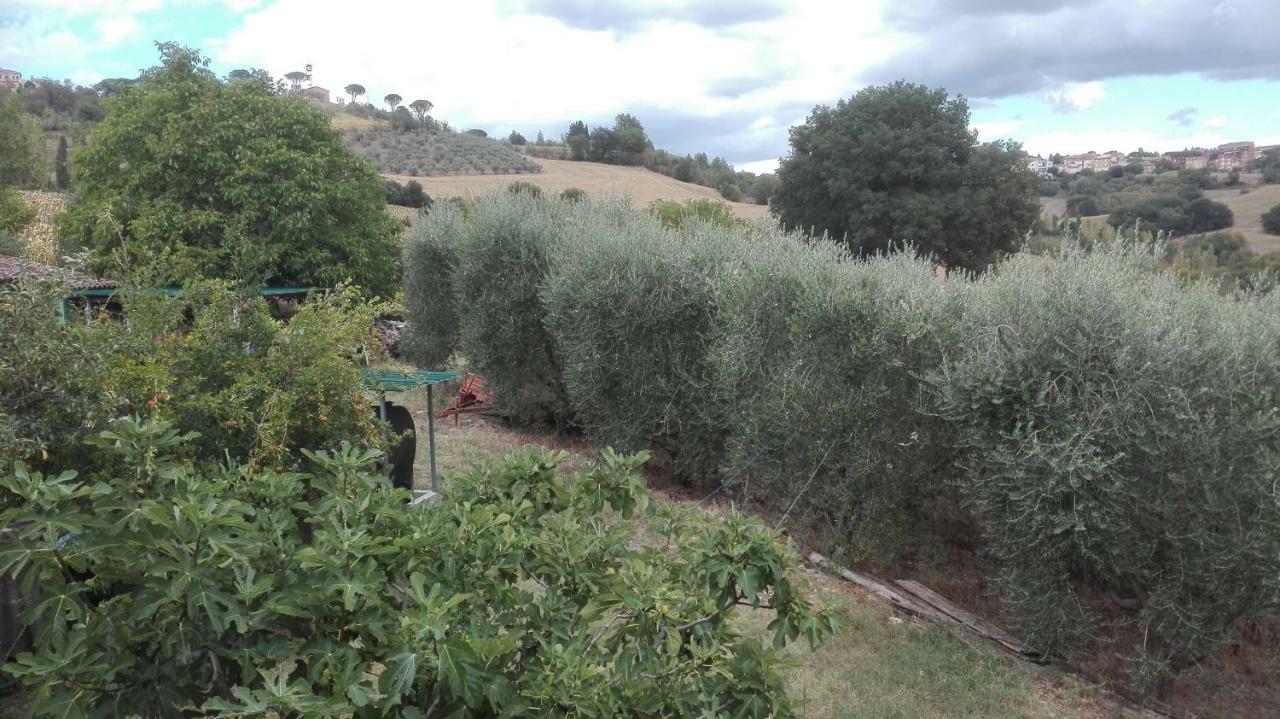 טודי Agriturismo Cerquaglia מראה חיצוני תמונה