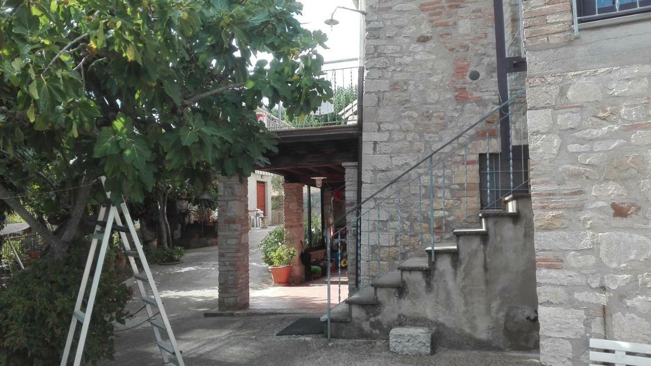 טודי Agriturismo Cerquaglia מראה חיצוני תמונה